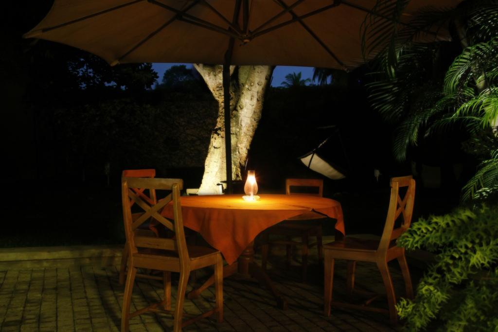 Lodge 19 Negombo Dış mekan fotoğraf